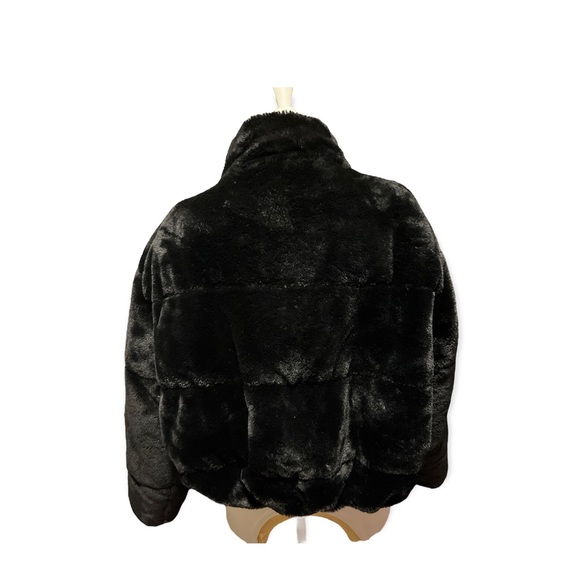 Zara - Picture 2 of 8